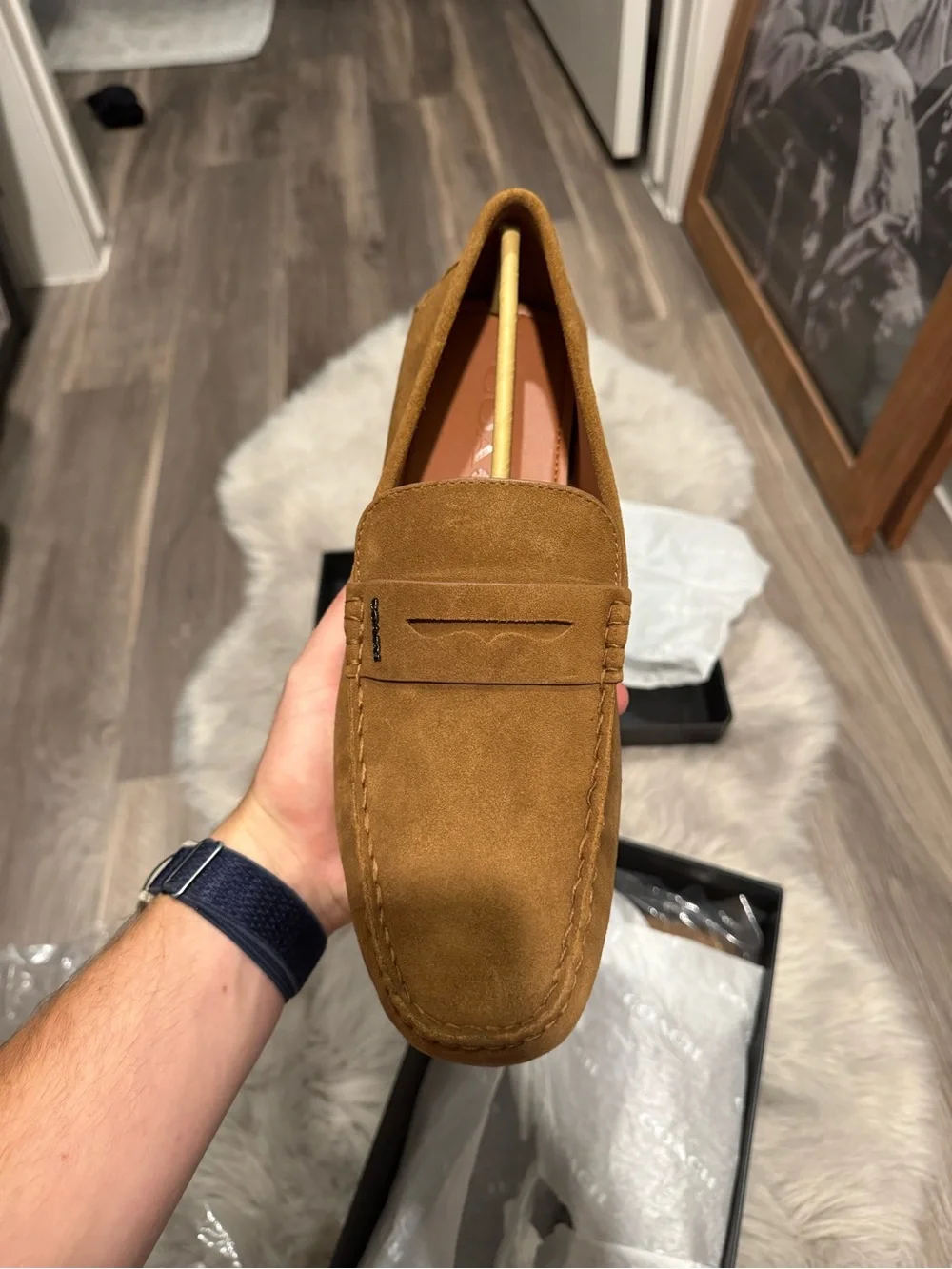 Coach suede penny